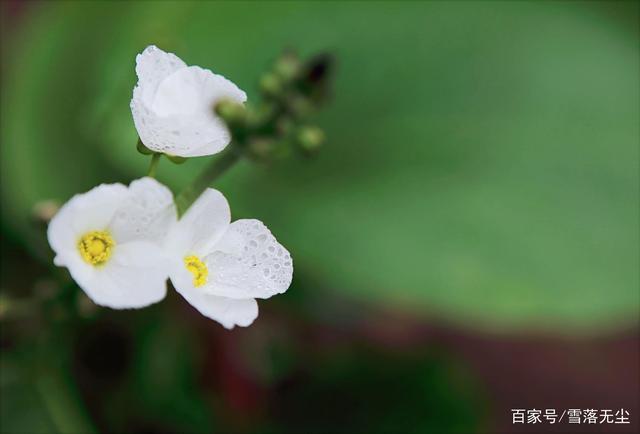 你爱的人不爱你了，别乞求也别挽留，这样做会更好