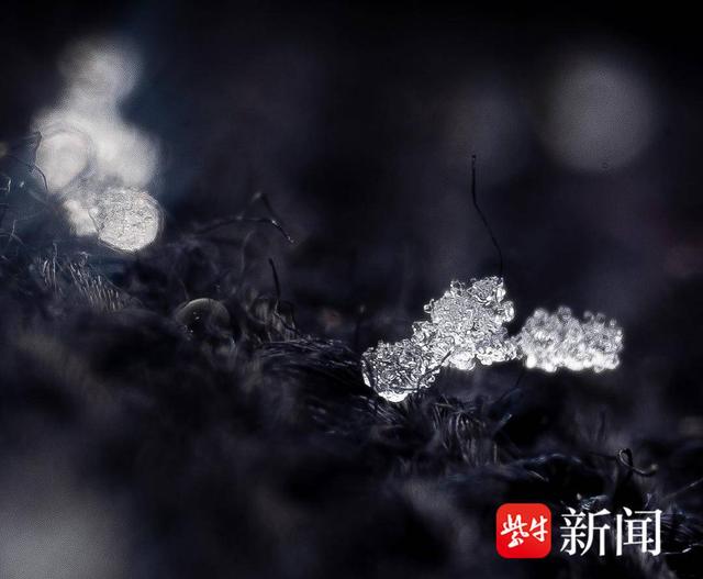 探秘微观世界下的雪花究竟长啥样