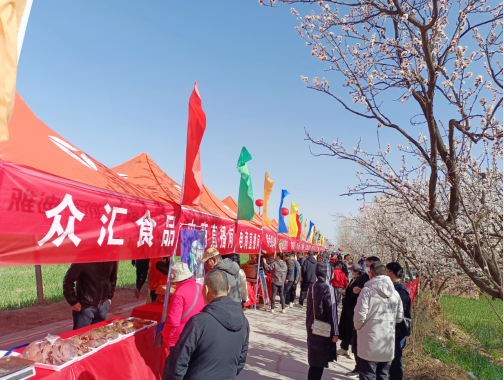 河南南乐：万亩杏花竞相绽放打造特色消费场景