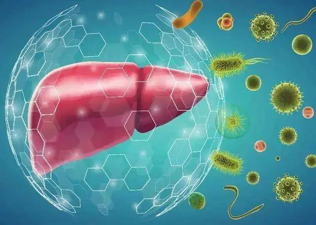 为啥一到凌晨3、4点就早醒？中医坦言：多半是身体2处“堵”了