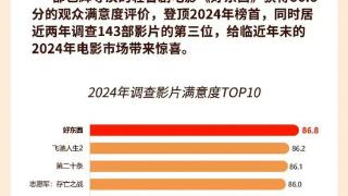 《好东西》满意度登顶2024年榜首，高口碑佳作热议出圈