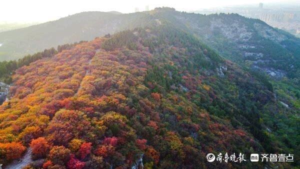 济南槐荫：谱写人与自然和谐共生的美丽篇章