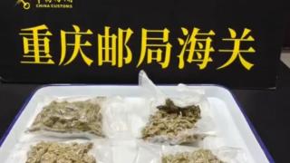 重庆邮局海关查获4袋真空包装大麻