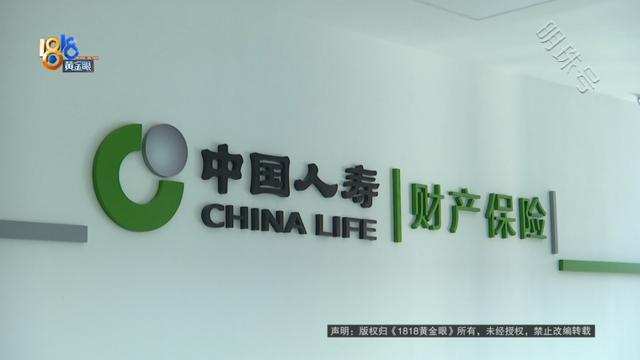 被追尾受伤，做完CT检查后查出怀孕，女子：现在孩子不敢要了