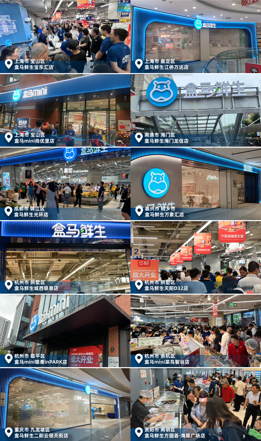 6月开出12家新店 盒马门店数突破400家