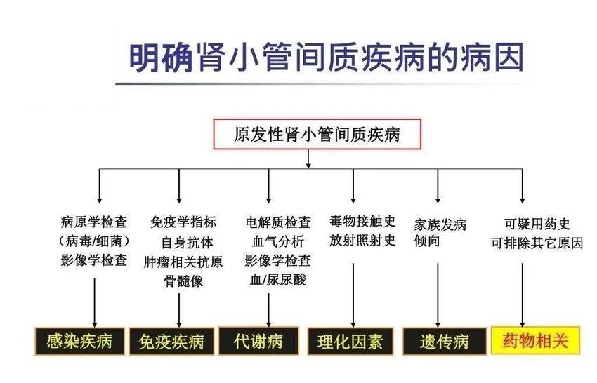 痛风肾，尿酸排泄障碍，应该怎么调？痛风专家黄川云支招！