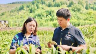 把实干担当写在乡村大地上