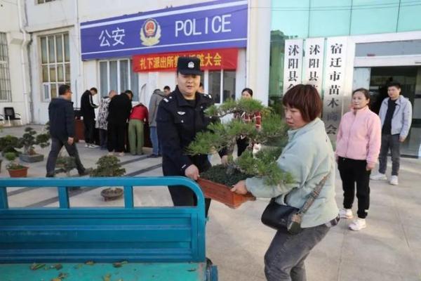 沭阳警方追回20余棵被盗花木盆景