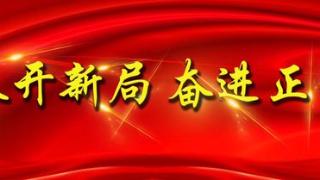 蛇年开工，奉贤各工厂企业“火力全开”→