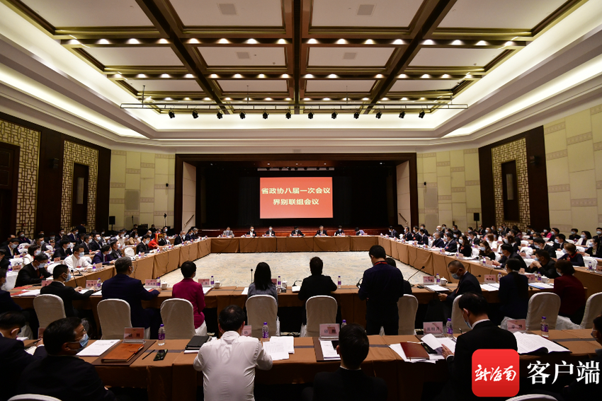 两会好声音 | 海南省政协委员陈菲菲：让海南自贸港政策“走出去” 将海外乡亲“请进来”