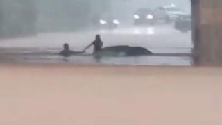 暴雨致女子被困车顶，卖烤翅大哥跳入积水将其救起，目击者：水深到脖子，大哥没有犹豫，过程大约十分钟