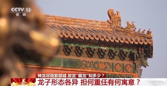 神龙尽现紫禁城 你知道故宫内“藏”了多少条龙吗？