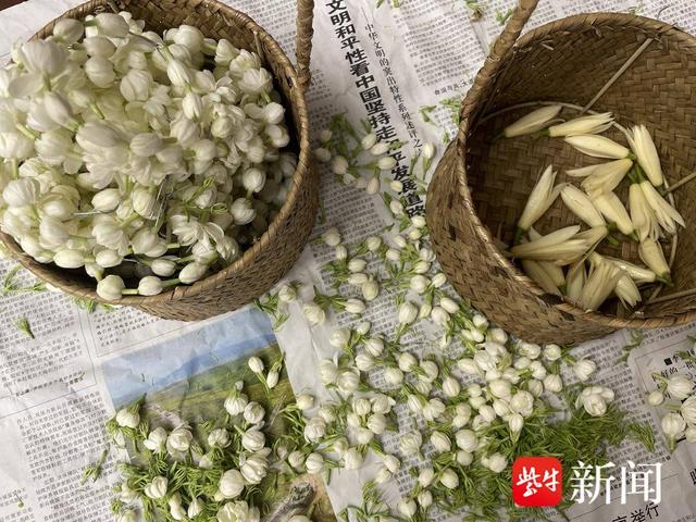 苏州姑苏区：“三花”爱心基金传播“三花”文化