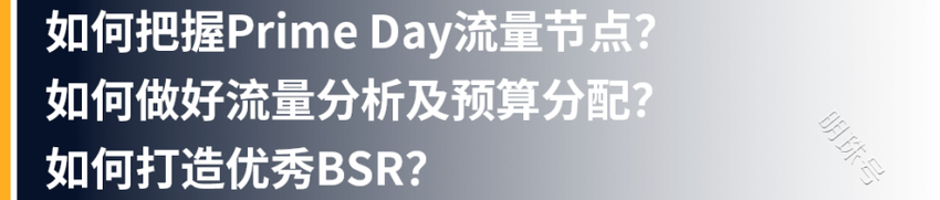 「Prime Day爆单备战攻略」派安盈蒲公英计划限时直播