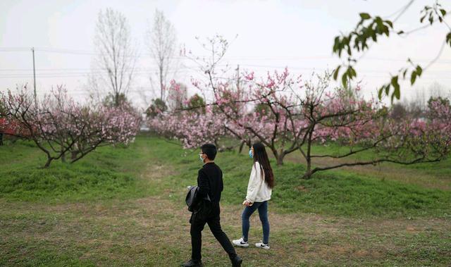 37岁大龄剩女过年，亲人不催婚，媒人不提亲，为何都是欲言又止