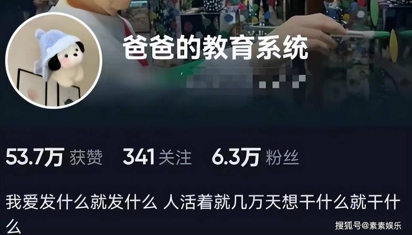 王诗龄深夜怼网友：你凭什么教我做事，听不懂是你的错