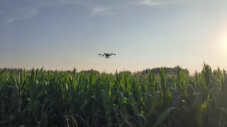 济宁市微山县两城镇：无人机喷洒农药 科技助力增收致富