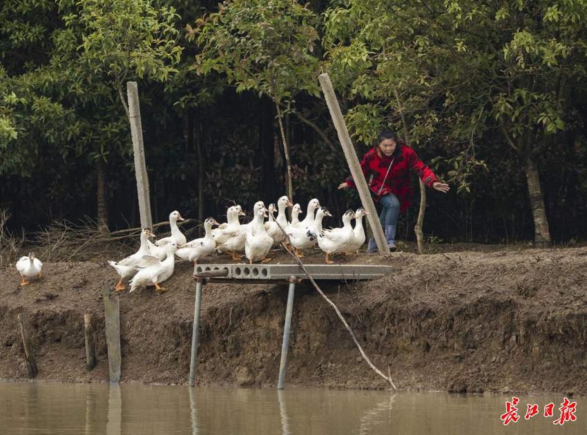 春到农家乐