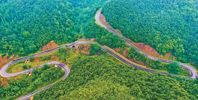 山西夏县林间公路 助力乡村全面振兴