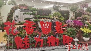 第二届湖南花卉苗木博览会在湘潭成功举办荣获“优秀组织奖”