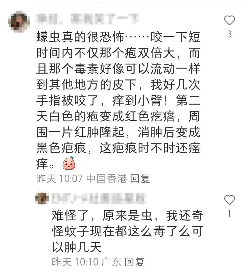 崩溃！这个“吸血鬼”，又猛又难缠！最近多人中招，街坊：去年的还未好，今年又续上