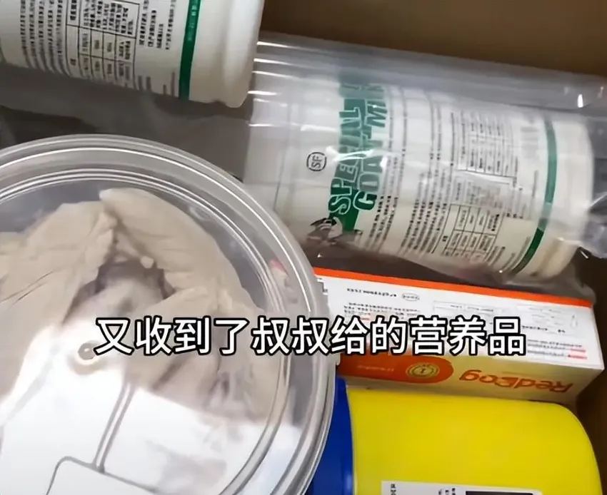 笑不活了！蹭麻辣烫三个月流浪狗的变化火了，我却笑死在评论区