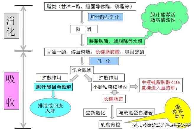 泫雅酒后吐真言，金晓钟气到哭，年轻人真的需要护肝吗？