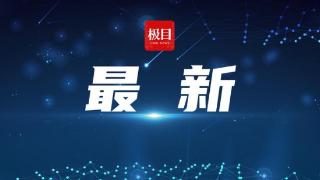 德国经济二季度环比下滑0.1%