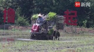 句容水利部门科学调水保障夏种顺利进行