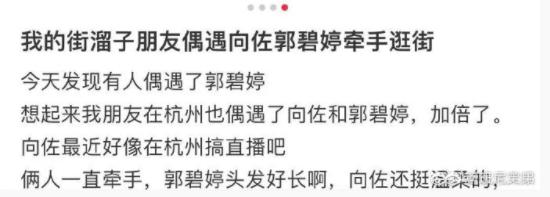 向佐郭碧婷夫妇外出游玩！三个保姆看俩孩子，恩爱牵手穿着引热议