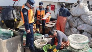 中国海警局北海分局查获非法捕捞渔船18艘