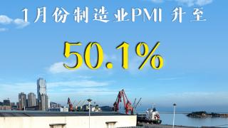权威快报丨1月份制造业PMI升至50.1%