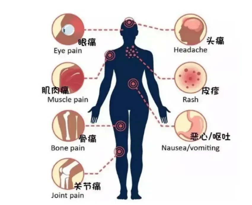 河南疾控：河南新冠疫情8月中旬达最高峰