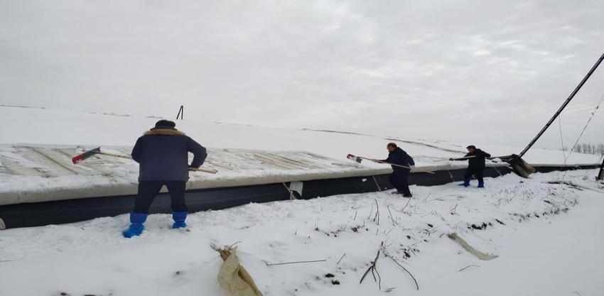 齐心协力战风雪，人保财险山东省分公司全力应对罕见雨雪冰冻恶劣天气