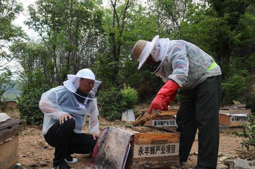 云南宜良：强村富民绘新景