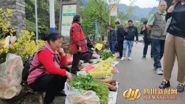 来绵阳安州蝴蝶谷采鲜 开启一场撒“野”踏春之旅