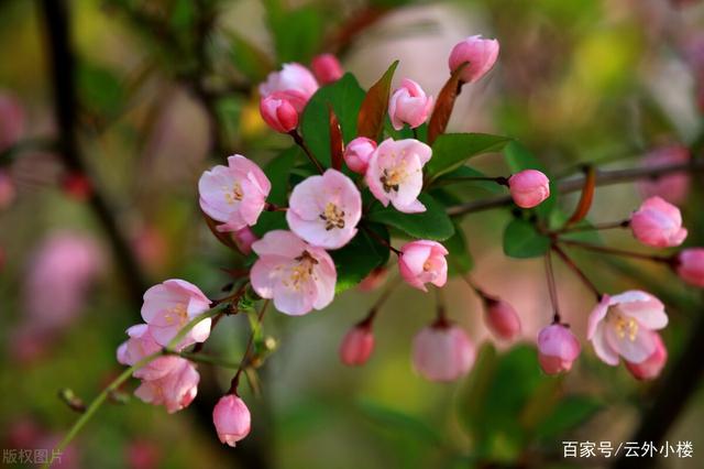 阿姨坦言：搭伙后选择了散伙，我有退休金，不给别人当保姆