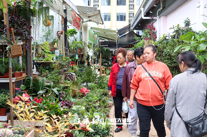 20载春秋转瞬，在贵阳，有一种记忆叫做“花鸟市场”