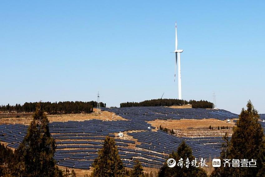 枣庄供电首家全量实现营财购售一体化电费线上结算