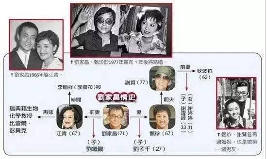 至尊狗血版《再见爱人》：大丈夫狠斗悍妻孽子？结局又反转了