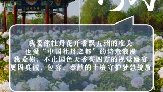 网络中国节·七夕｜此刻，我们告白菏泽这座城市