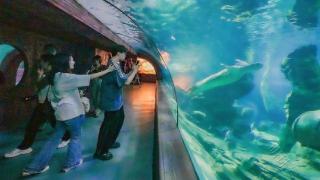 武汉东湖海洋乐园推出丰富的双节文旅活动