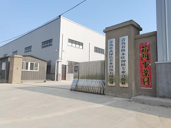 青岛市即墨区蓝村街道壮武村：强村为本 富民为要 党建引领强村共富新路径