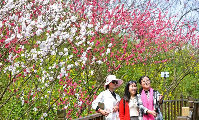 37岁大龄剩女过年，亲人不催婚，媒人不提亲，为何都是欲言又止