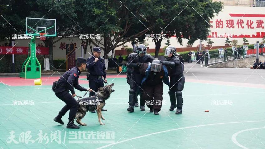 贵州监狱系统举办现场管理规范化标准化建设暨警犬技术实战化运用观摩会