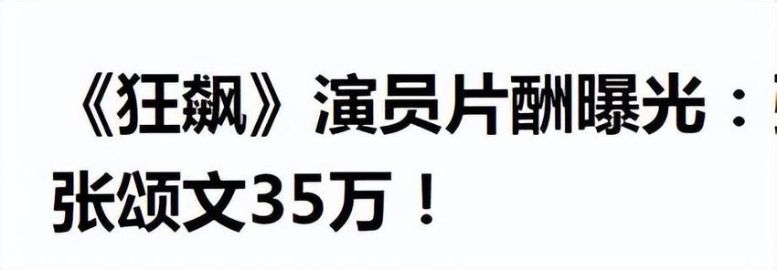 张颂文拍《狂飙》片酬35万！一年的总收入，到手还不足百万