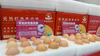 古浪：虾青素鸡蛋产业发展新路子