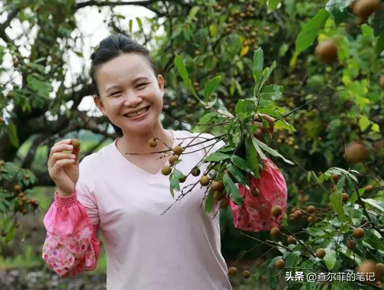 她是40岁广西妇女，从月薪3000到年入千万，开公司还上央视，为啥