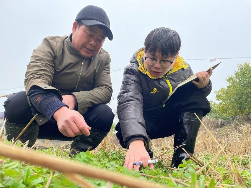 奋进的春天|保供稳价接续发力 释放经济回稳向好积极信号