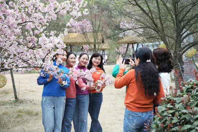 泸州江阳2024年踏青赏花季暨丹林花朝节启动仪式现场